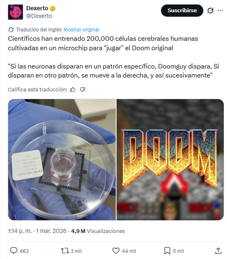 El cultivo neuronal de Cortical Labs interactúa con el entorno de Doom mediante señales eléctricas. El cultivo neuronal de Cortical Labs interactúa con el entorno de Doom mediante señales eléctricas.