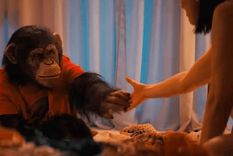 Un mono es protagonista de una nueva película de terror. Foto: cortesía Paramount.