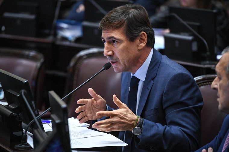 El senador de Juntos por el Cambio Luis Naidenoff.