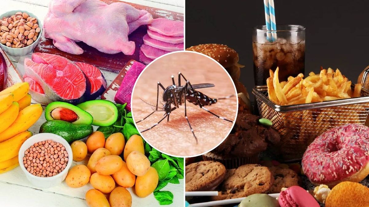 Qué alimentos debes consumir y cuáles evitar si tienes dengue