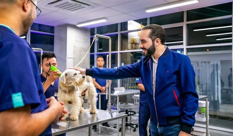 Bukele, tal como lo prometió, abrió el hospital para mascotas. Foto: Prensa El Salvador.