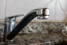 Foto: Santiago Tagua/MDZ Foto: Santiago Tagua/MDZ