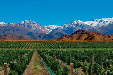 Tour de vinos por el Valle de Uco. Foto:tourandhotels.com Tour de vinos por el Valle de Uco. Foto:tourandhotels.com