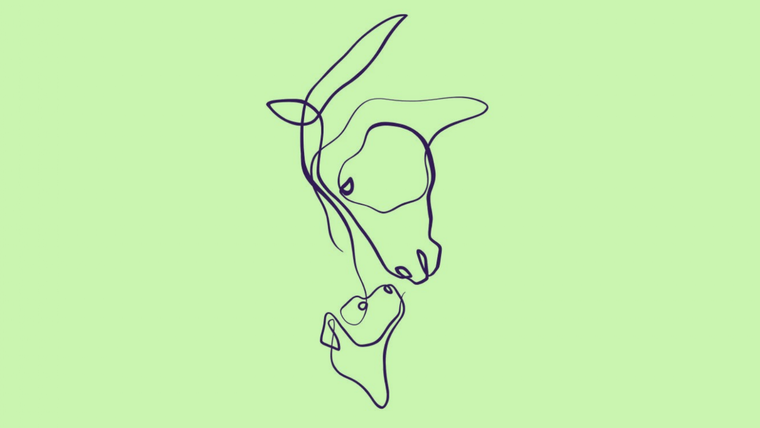 Test de personalidad