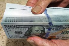 El dólar blue se consigue hoy en 186 pesos. Foto: ALF PONCE MERCADO / MDZ