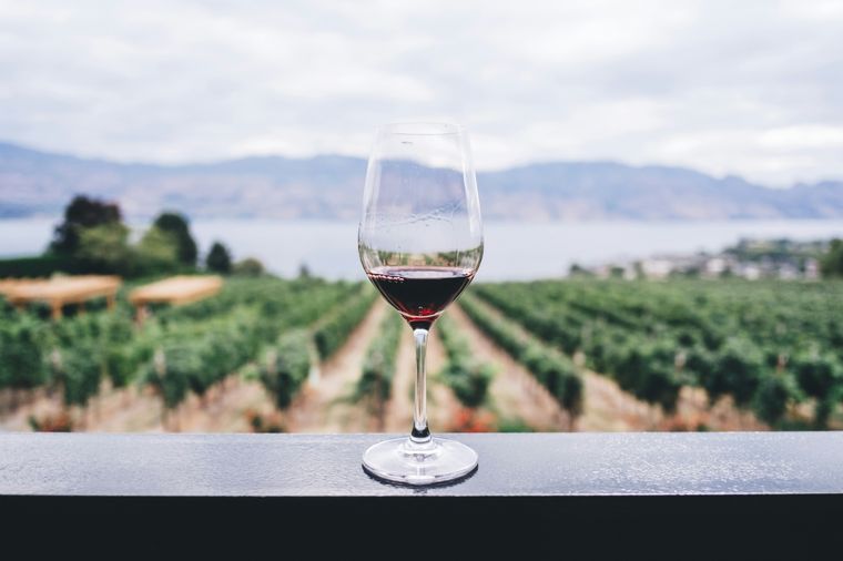 Malbec: vino argentino y bebida nacional, es una variedad de uva morada usada para la elaboración de vinos tintos y blancos. Conocé su historia Foto: Unsplash