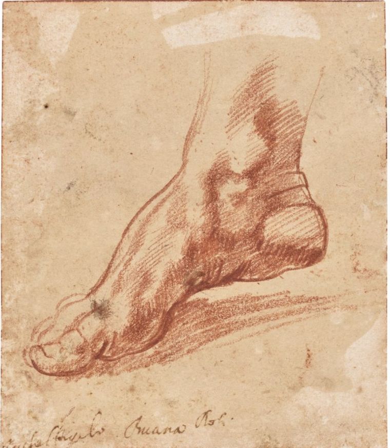 El dibujo (sanguínea) descubierto. El dibujo (sanguínea) descubierto.