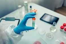 cientificos argentinos avanzan en una vacuna oral contra el coronavirus cientificos argentinos avanzan en una vacuna oral contra el coronavirus