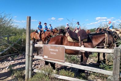 MDZol | Los turistas extranjeros buscan vivir experiencias en contacto con la naturaleza Foto: Turismo Mendoza