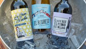 Vinos jóvenes y con onda.