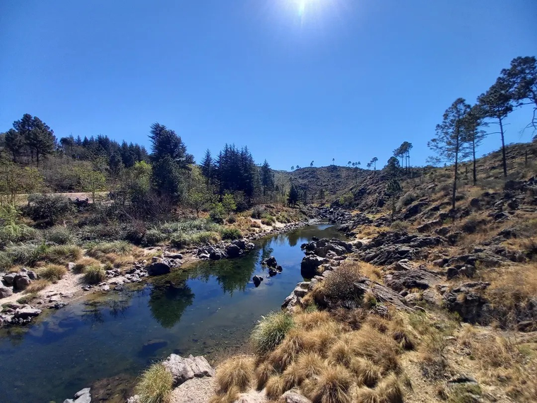 En este pueblo, el bosque autóctono y los circuitos al aire libre refuerzan una escapada mucho más ligada a la naturaleza. En este pueblo, el bosque autóctono y los circuitos al aire libre refuerzan una escapada mucho más ligada a la naturaleza.