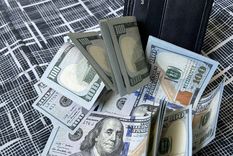 asi cotiza el dolar oficial tras el triunfo de milei: ¿cuanto bajo este lunes?