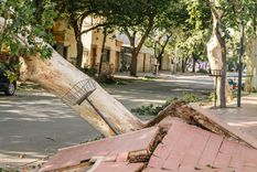 Foto: Santiago Tagua/MDZ