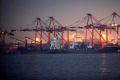 MDZol | Se busca satisfacer la demanda de fruta orgánica durante todo el año. Foto: EFE