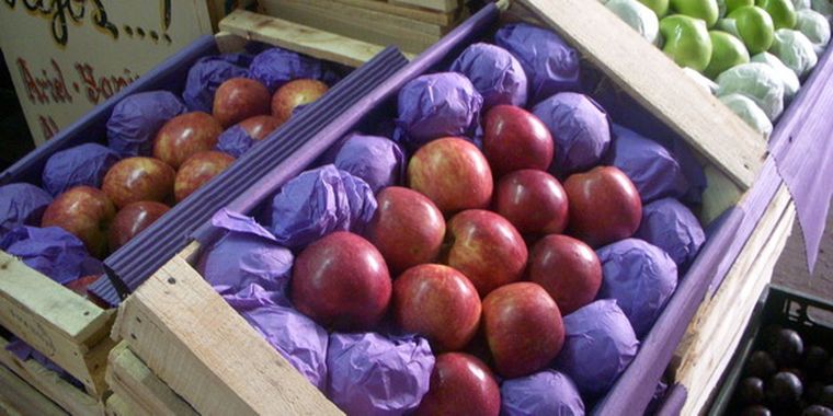 El fondo saldrá del presupuesto nacional para asistir a la producción de Río Negro y Neuquén.