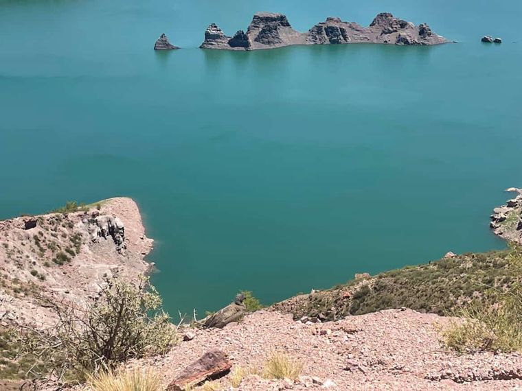 A los días de ser liberado, un turista encontró el cóndor y pensó que estaba herido. A los días de ser liberado, un turista encontró el cóndor y pensó que estaba herido.