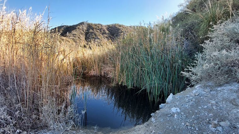 Agua de una vertiente natural que baja de uno de los cerros. Agua de una vertiente natural que baja de uno de los cerros.
