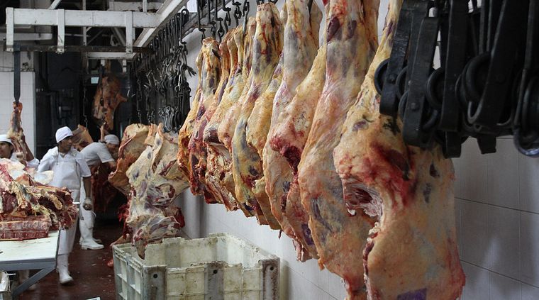 El Gobierno postergó la aplicación de la medida e invitó a las provincias a una mesa de diálogo para resolver el tema. Foto: Pachy Reynoso/MDZ