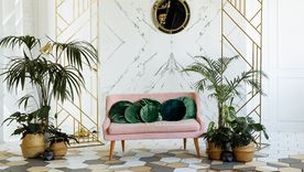 Transformá los espacios de tu hogar con estas plantas Foto: Shutterstock