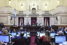 El Senado prepara una sesión secreta por la causa YPF en plena tensión judicial.