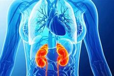 En Argentina, cerca de 5 millones de personas enfrentan algún grado de enfermedad renal crónica. Foto: MDZ En Argentina, cerca de 5 millones de personas enfrentan algún grado de enfermedad renal crónica. Foto: MDZ