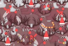 Acertijo visual, reto visual, petirrojo Pinterest Foto: Archivo MDZ