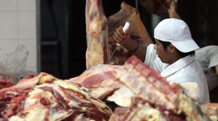 Foto: Pachy Reynoso/MDZ