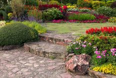 El furor, tendencia, moda e importancia del paisajismo. La nueva modalidad adaptada que tiene todo a favor. Foto: Freepik