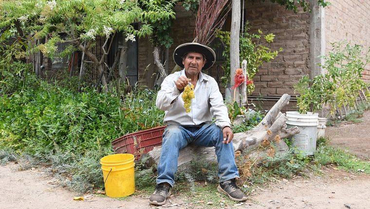 René vive en una casa en la finca donde trabaja. Foto: ALF PONCE MERCADO / MDZ