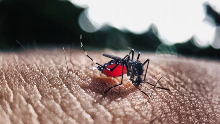 El nene de 5 años fue diagnosticado de dengue en el Notti. Foto: MDZ