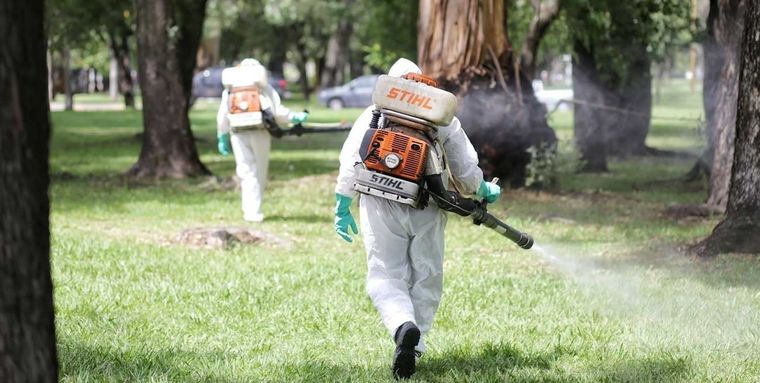 Continúan las tareas de desinfección en las zonas donde el dengue está presente. Foto: Archivo MDZ