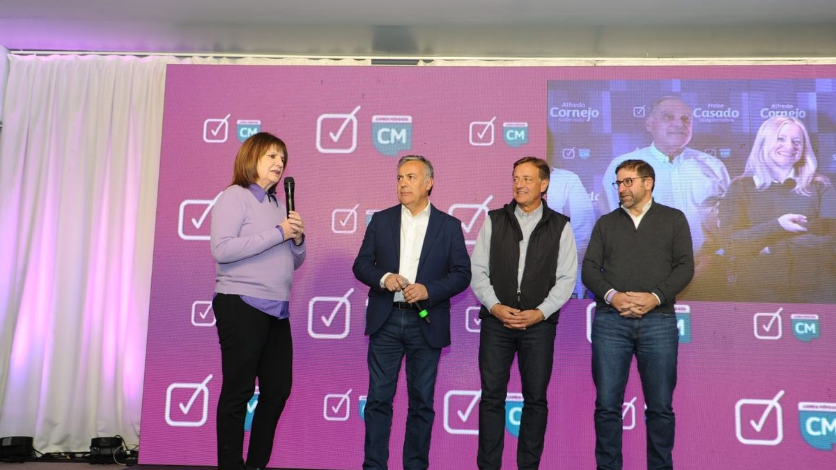 Estos Son Los Resultados Oficiales De Las Elecciones Paso En Mendoza