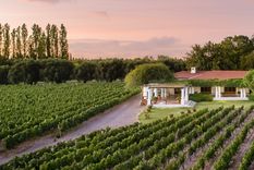 Bodega Nieto Senetiner.