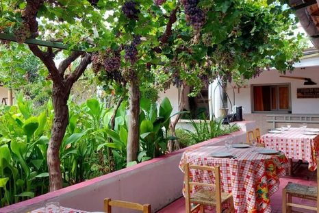 El Patio de Babushka, en General Alvear. El Patio de Babushka, en General Alvear.