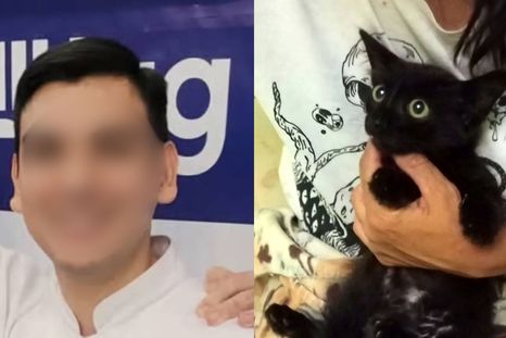 El asesino serial de gatos de Recoleta y Betún, una de sus víctimas. El asesino serial de gatos de Recoleta y Betún, una de sus víctimas.