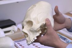 Foto: Dan Chamberlain/Universidad Cornell