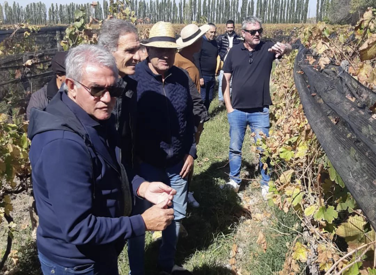 Burruchaga, Roggeri y otros campeones del 86 con Richard Bonvin, recorriendo Finca La Anita. Foto: Instagram Juan Pablo Candisano