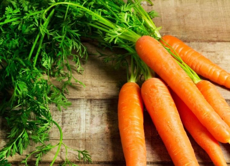 Con esta técnica podrás conservar tus zanahorias en óptimas condiciones durante semanas Foto: Shutterstock