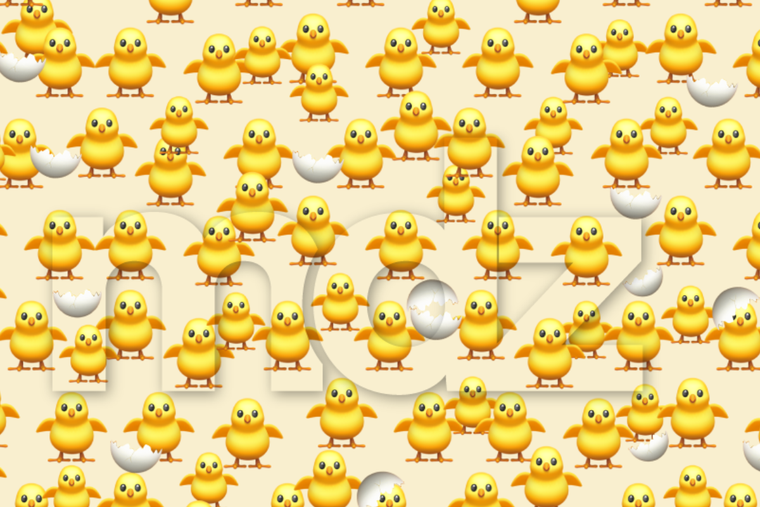 ACERTIJO VISUAL ACERTIJO VISUAL, RETO VISUAL, POLLO Foto: MDZ ONLINE