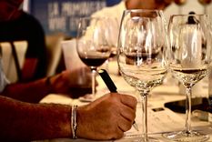 Este es el vino argentino que un grupo de 75 enólogos eligió como el mejor