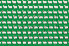 Un juego mínimo habilitó un encuentro. Entre pantallas y apuros, regaló lo más escaso de la vida moderna: tiempo compartido. Un juego mínimo habilitó un encuentro. Entre pantallas y apuros, regaló lo más escaso de la vida moderna: tiempo compartido.