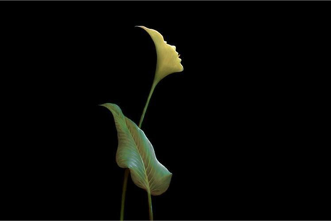 test de personalidad test de personalidad