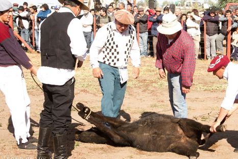 La Sociedad Rural propuso un plan para Mendoza. La Sociedad Rural propuso un plan para Mendoza.