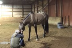 Video viral Video viral