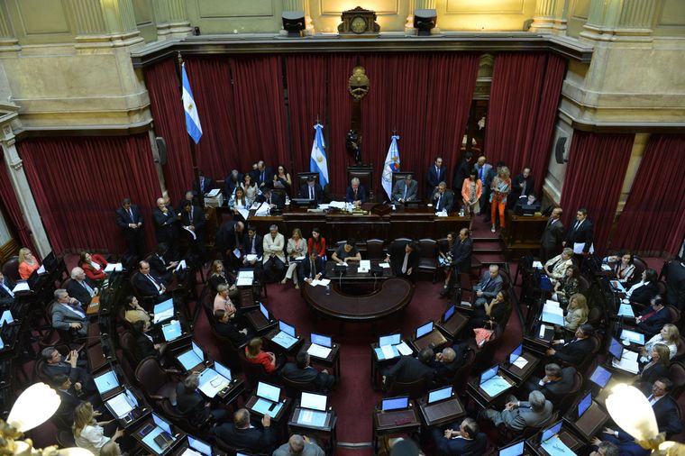 Foto: Prensa Senado