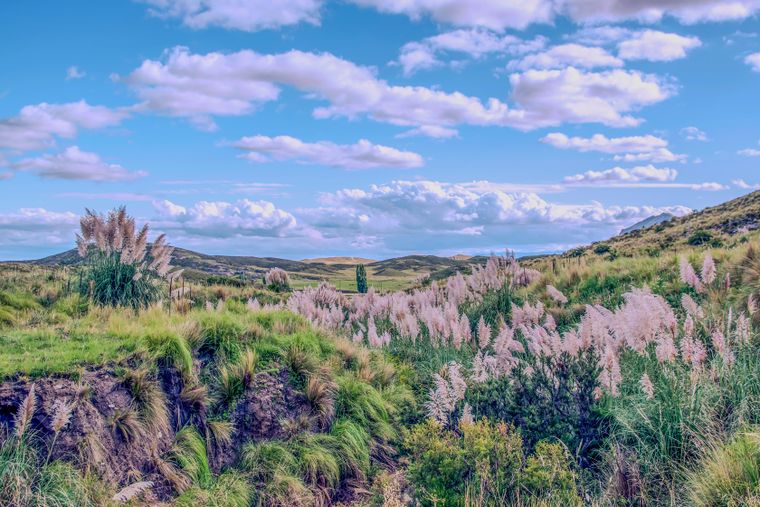El pueblo de La Carolina fue reconocido entre los más lindos del mundo por su paisaje y arquitectura. El pueblo de La Carolina fue reconocido entre los más lindos del mundo por su paisaje y arquitectura.