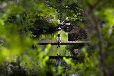 Este atractivo único se encuentra muy cerca de Villa General Belgrano Foto: Villa General Belgrano