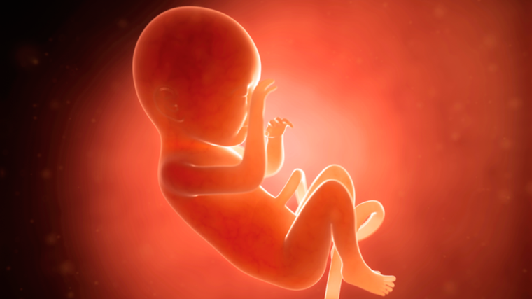 Hay deudas que ninguna ley puede saldar si no cambia primero la forma en que nos miramos como sociedad.