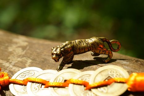 Esto le espera a cada signo según la astrología china Foto: Shutterstock