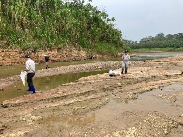 Foto: François Pujos